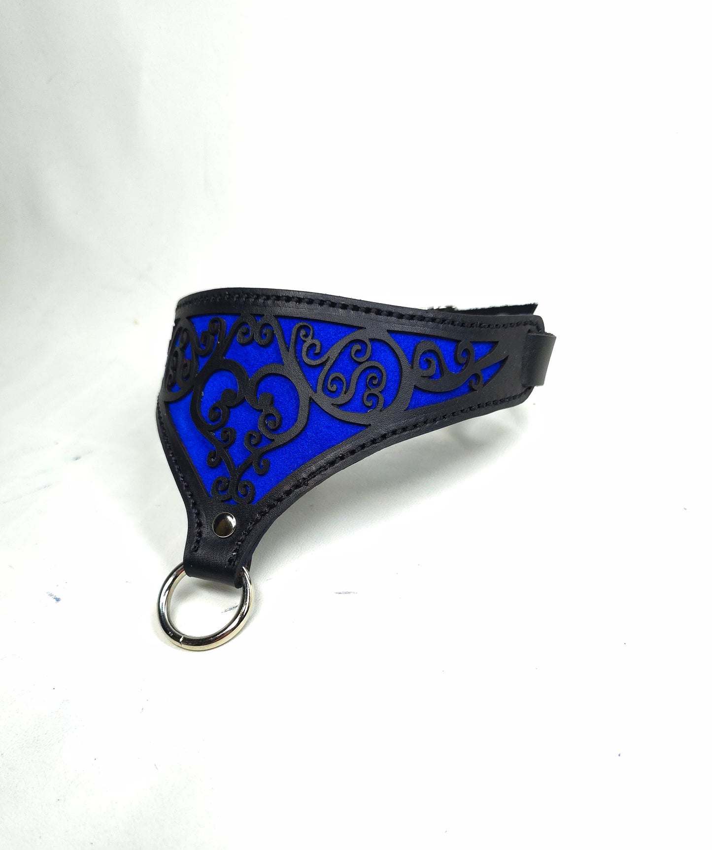 Black and Blue Leather BDSM collar