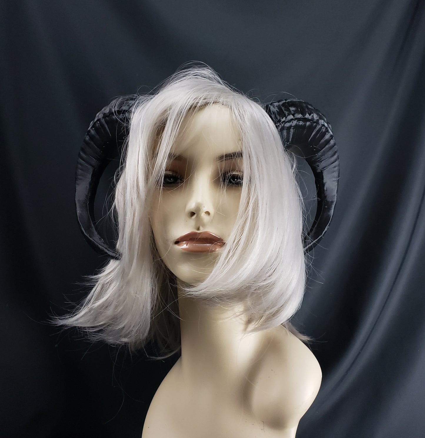 Half Curve Horns- made to order