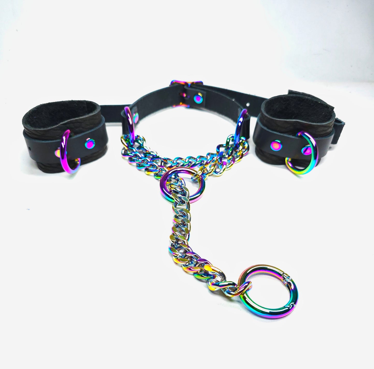 Leather Martingale Collar and Cufss with Rainbow Hardware