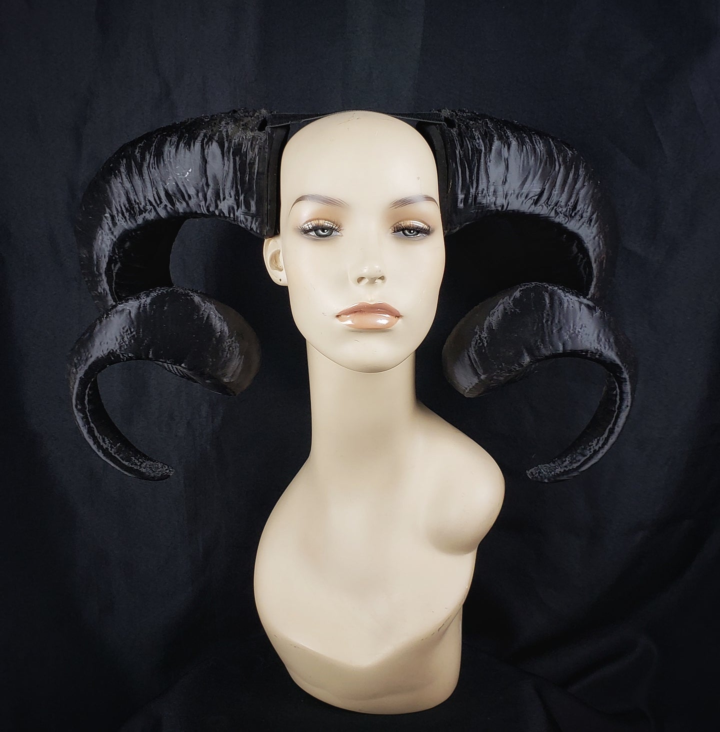 Extra Large Empire Horns- In stock